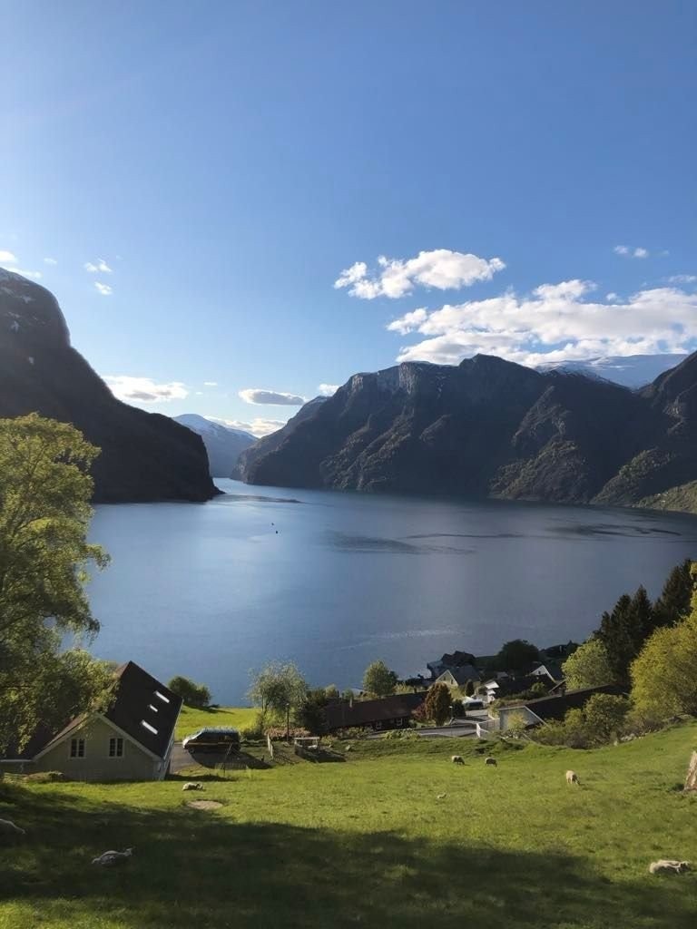 Utsikt fra tomta Galleribilde