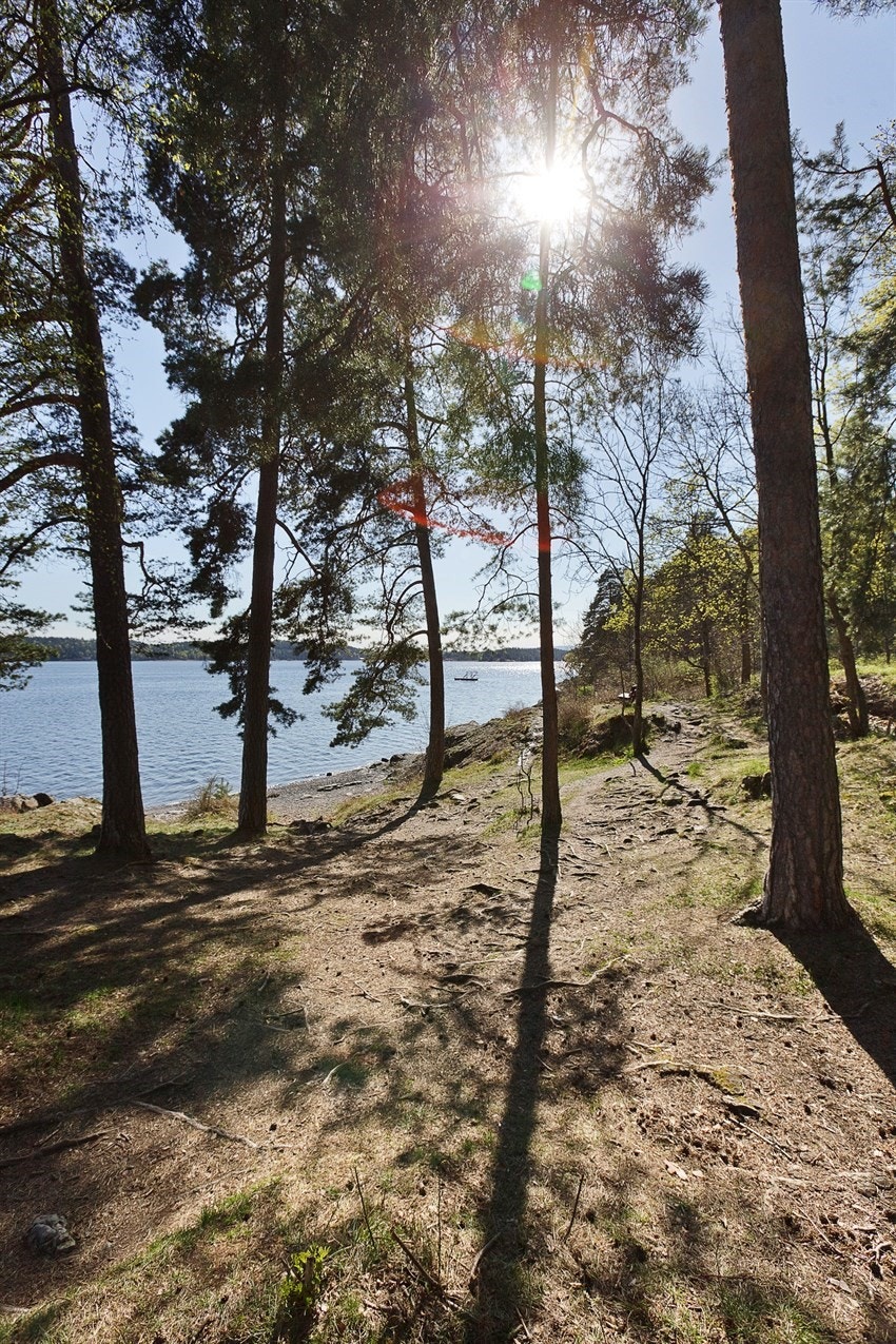 Sommer og idyll på Nedre Høvik Galleribilde