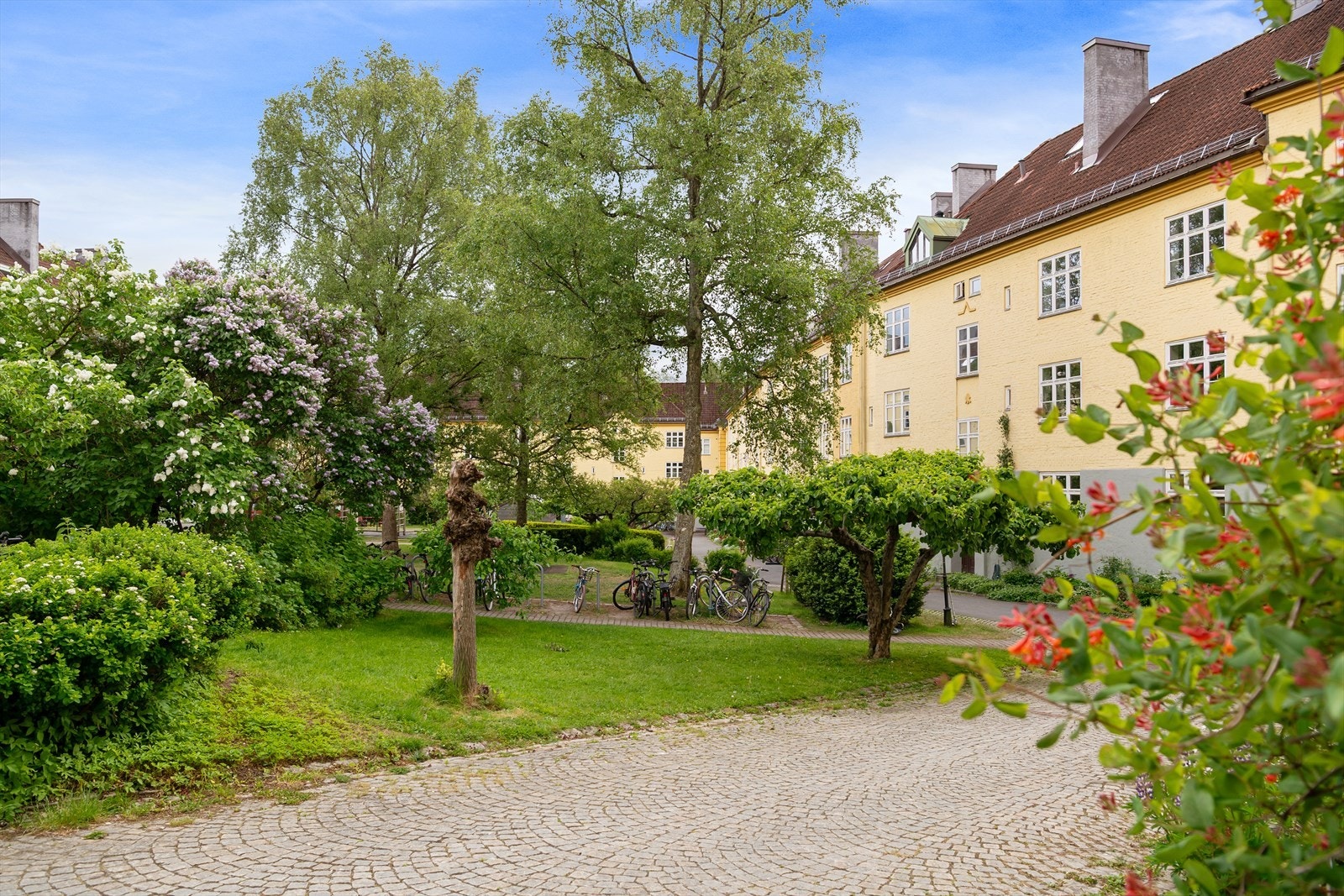 Mulighet for utvendig sykkelparkering. Fra oppgangen har man to inn-/utgangsdører, én direkte ut til bakgården, den andre ut til Åsengata. Galleribilde