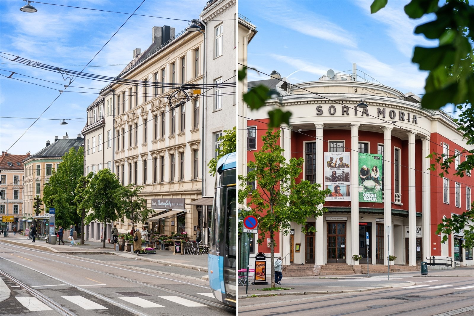 Nærområde Galleribilde