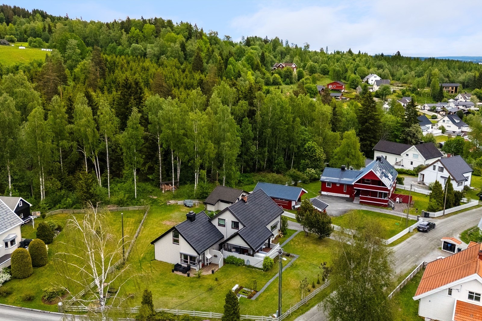 Velkommen til visning! Galleribilde