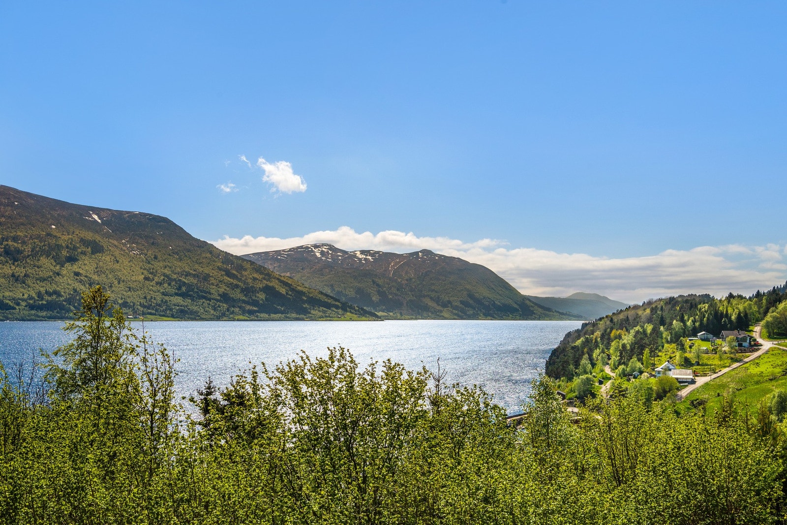 Her møtes fjord, fjell og skog vegetasjon i skjønn forening. Galleribilde