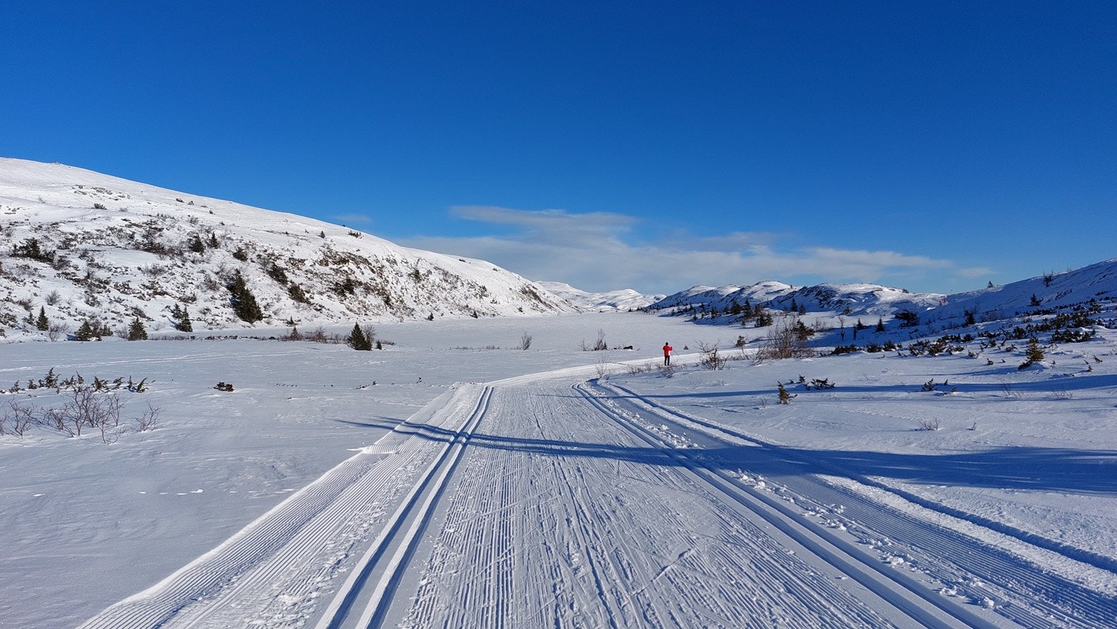 Gamlestølen byr på 300 kilometer med fantastiske løype som går fra stølsområdet, gjennom skogen og opp på snaufjellet på ca. 1400 meter Galleribilde