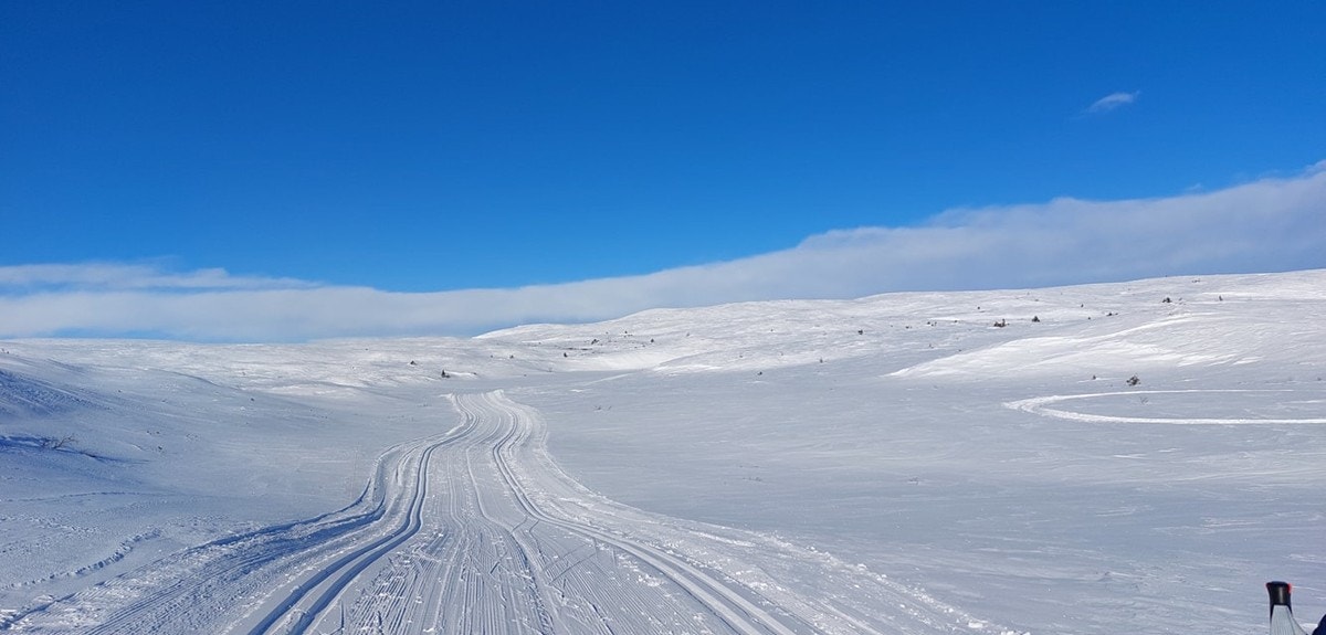 Jomfuslettfjell er en av mange fine turer sommer og vinter Galleribilde
