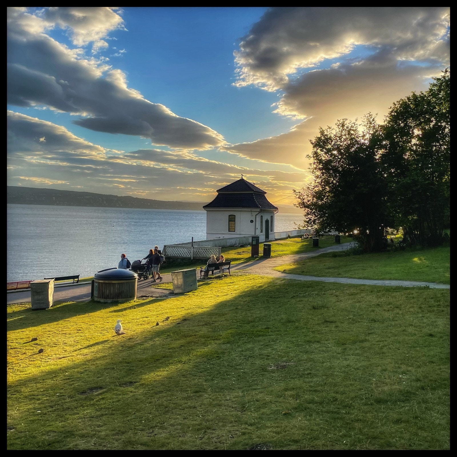 Nærområde Galleribilde