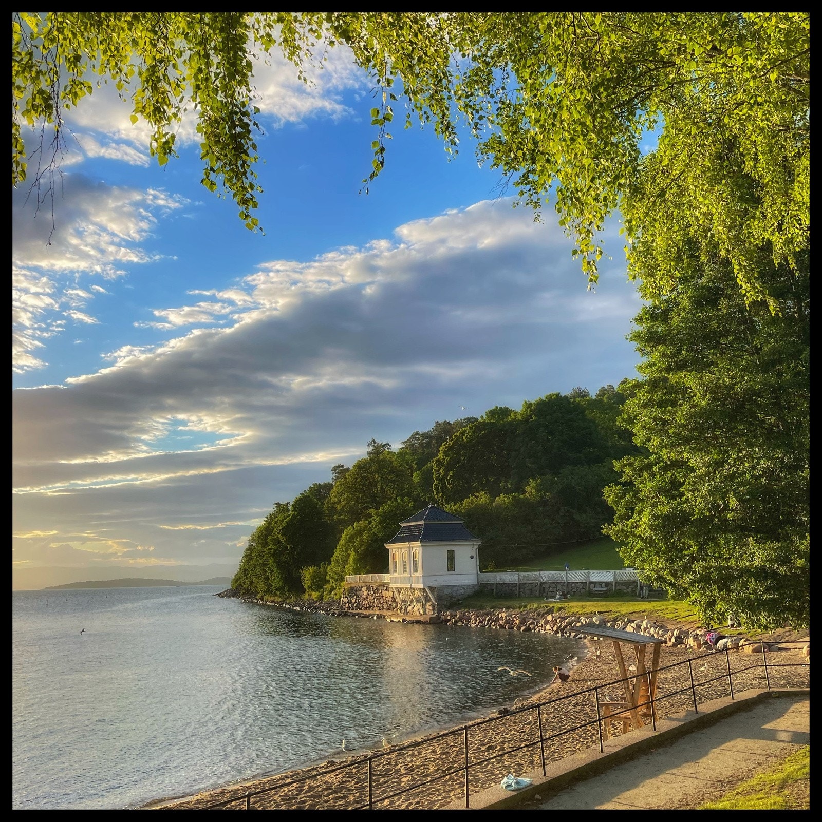Nærområde Galleribilde