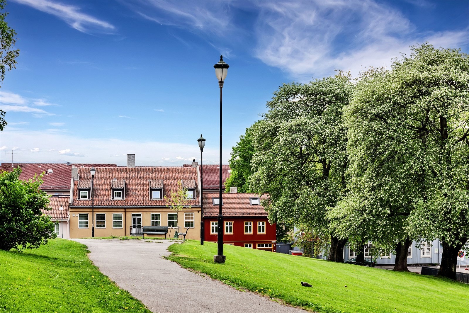 Vålerenga er et sjarmerende og livlig nabolag som kombinerer historisk sjarm med moderne byliv. Området er kjent for sine fargerike trehus, koselige kafeer og et rikt kulturliv. Galleribilde