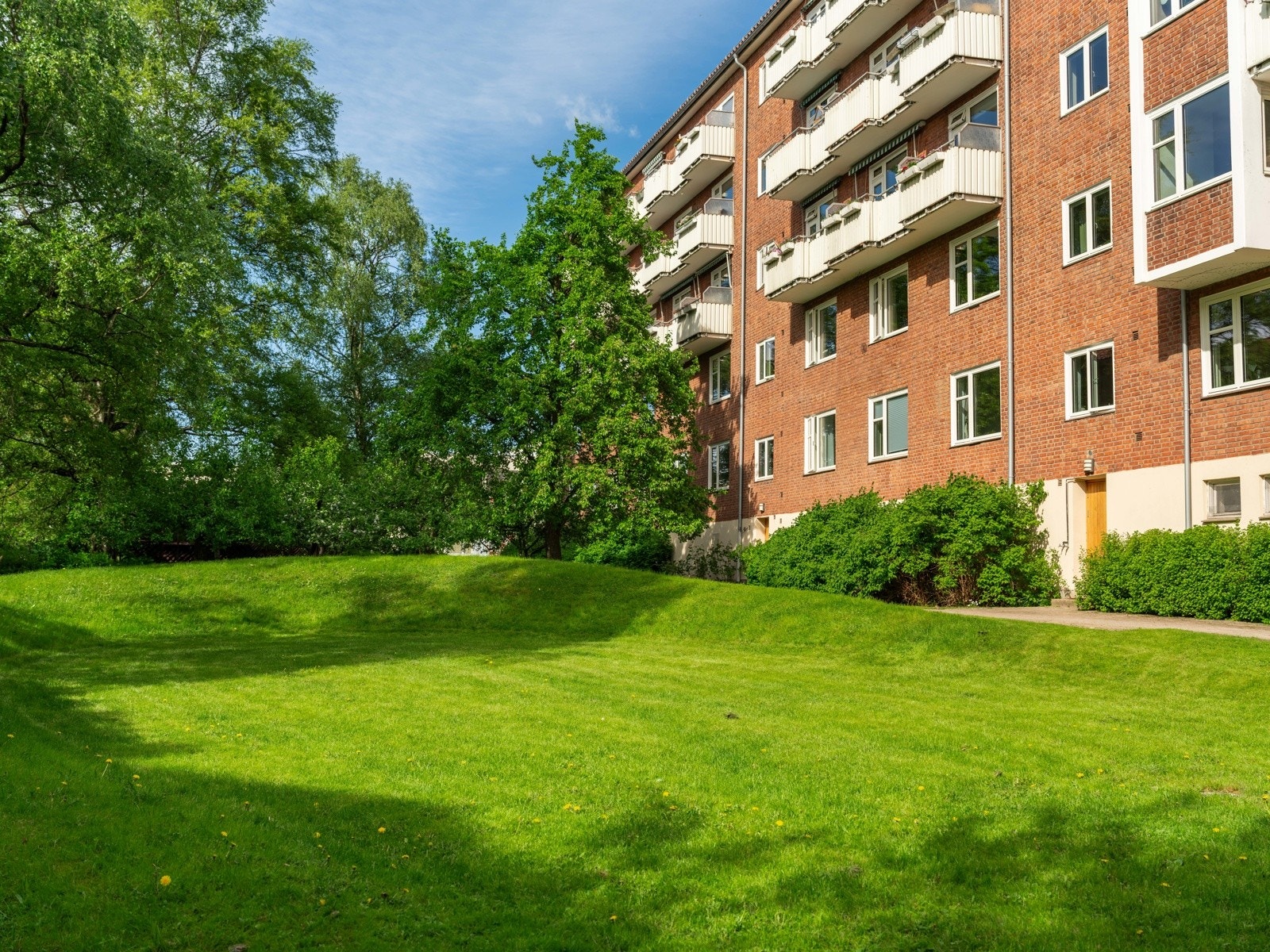 Fellesareal. Galleribilde