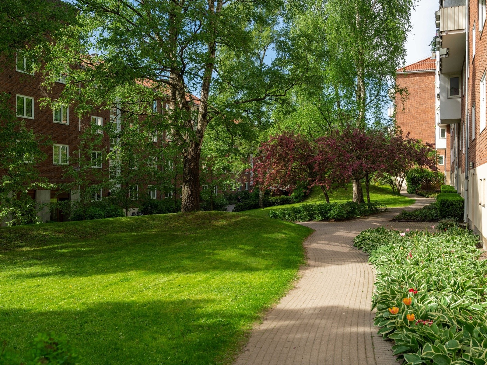 Fellesareal. Galleribilde