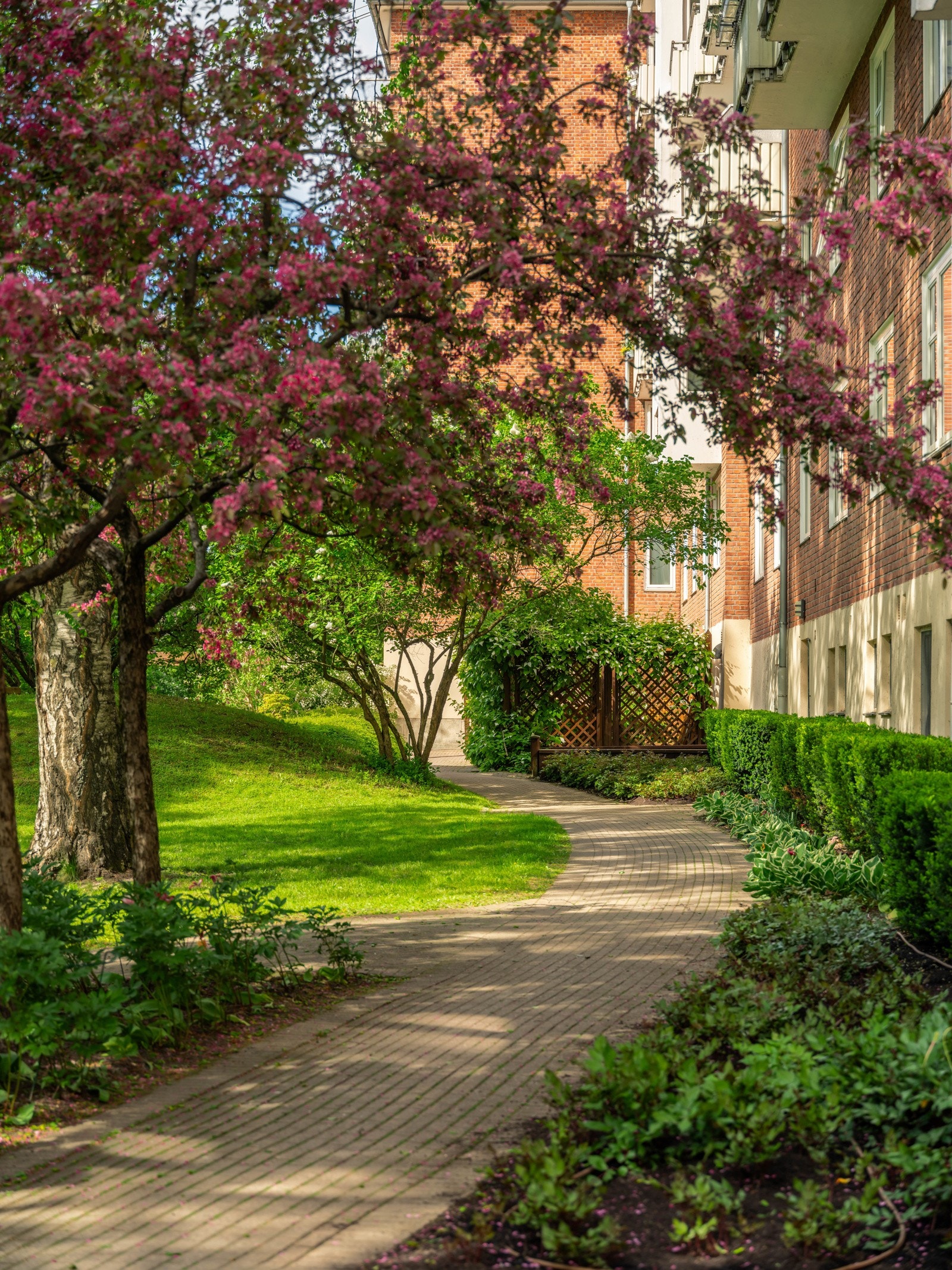 Fellesareal. Galleribilde