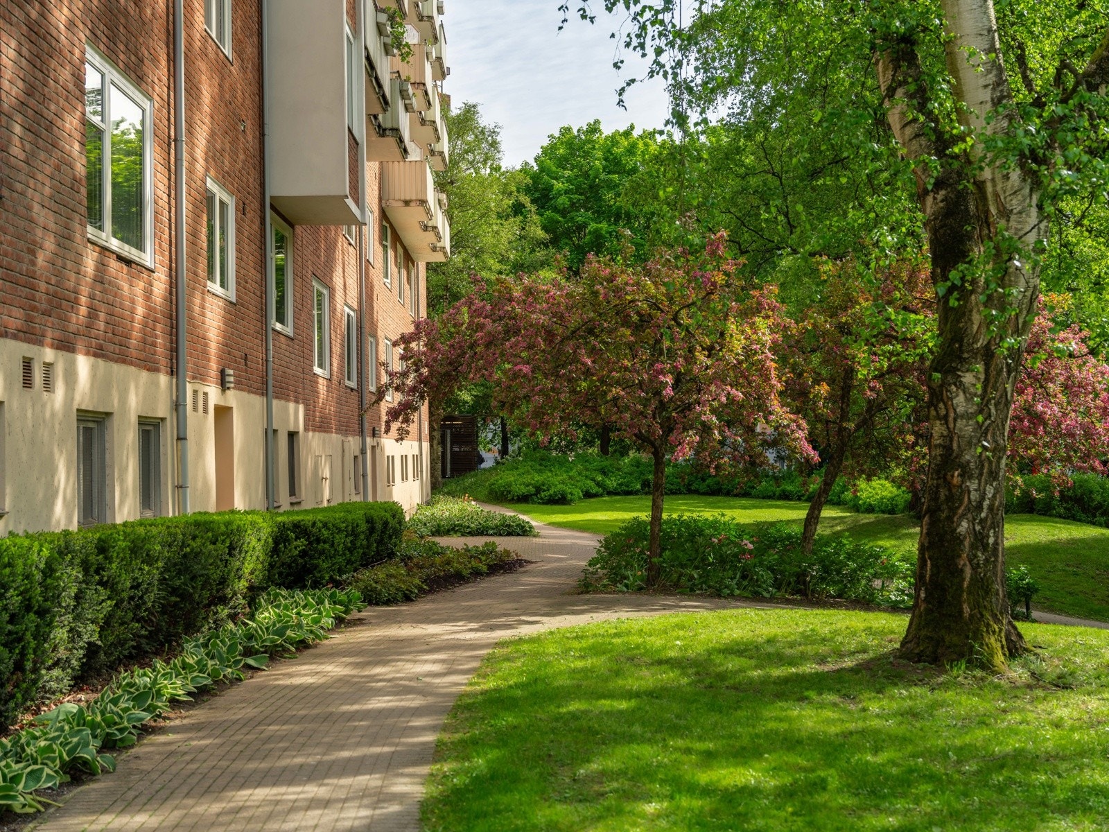 Svært pent opparbeidede fellesarealer. Galleribilde