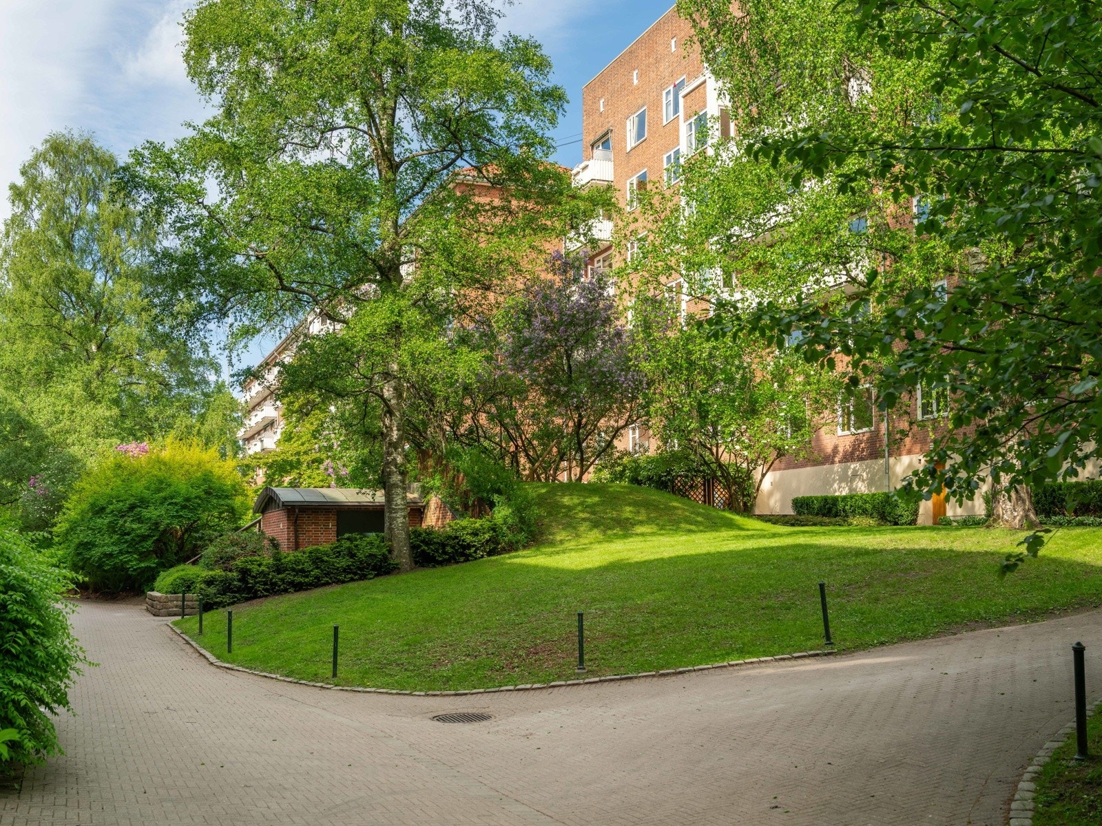 Fellesareal. Galleribilde