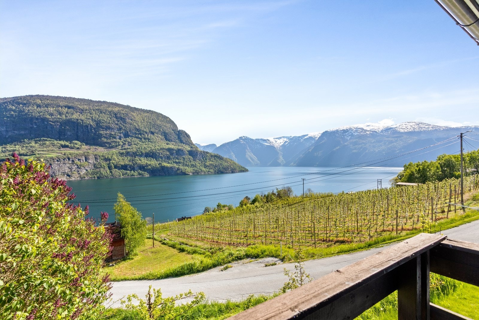 Sjekk denne flotte utsikta! Galleribilde