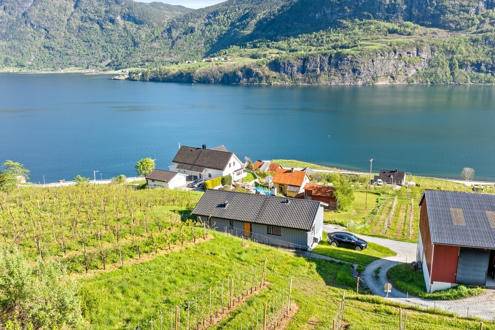 Eigedomen er omkransa av jordbruksareal Galleribilde