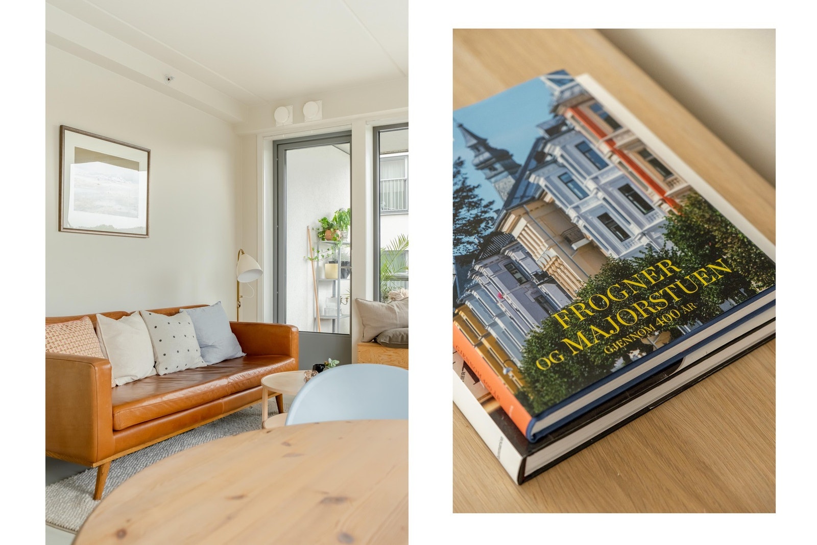 Og om det er tåke kan se mye av de samme bildene i denne boka. Galleribilde