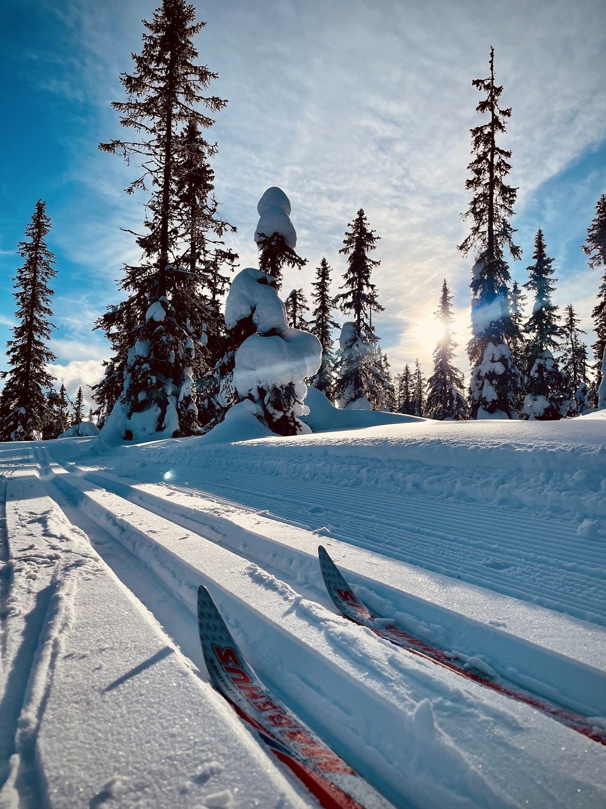 Oppkjørte skiløyper 30 meter fra hytteveggen. Galleribilde