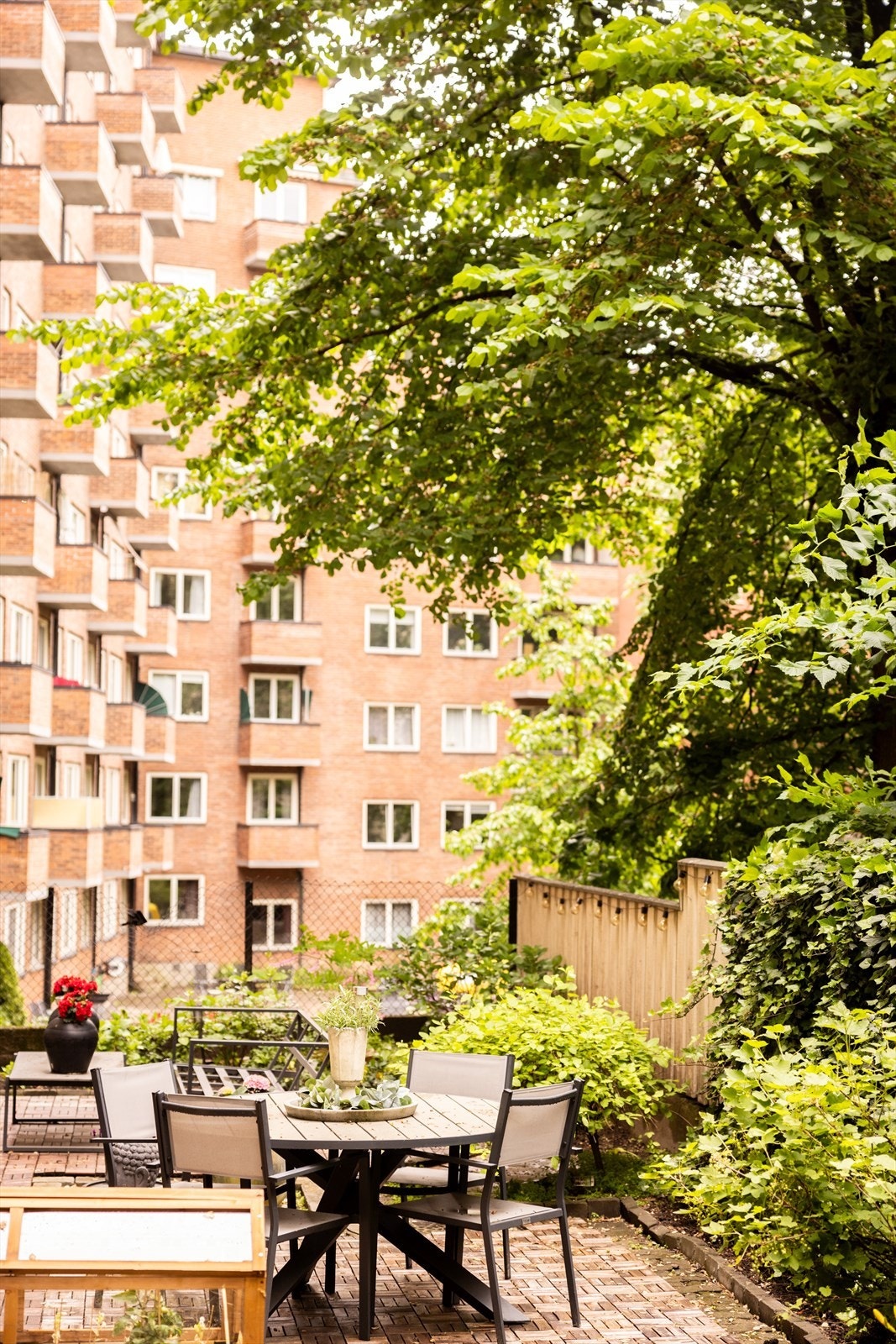 - Hyggelig bakgård - Galleribilde