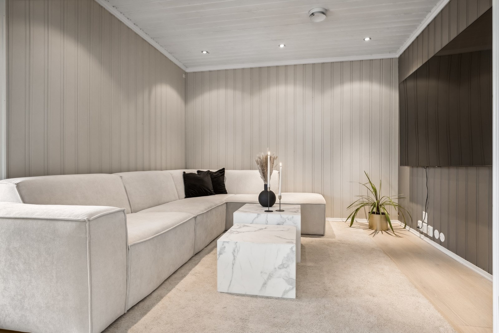Tv-stue Galleribilde