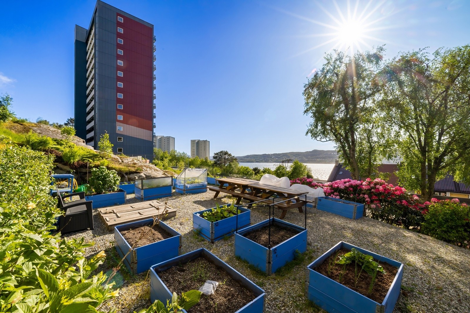 Koselig område med plantekasser. Galleribilde