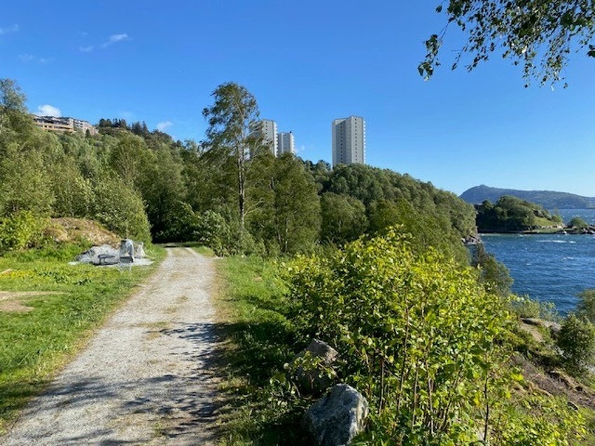 Det er flotte turområder i umiddelbar nærhet. Galleribilde