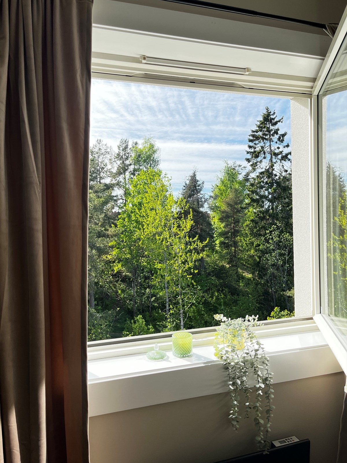 Hyggelig og grønt utsyn fra leiligheten Galleribilde