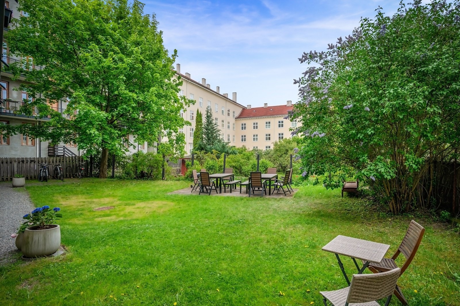 Pent opparbeidet felles, bakgård med plen, beplantning, sittegrupper og sykkelstativ. Galleribilde