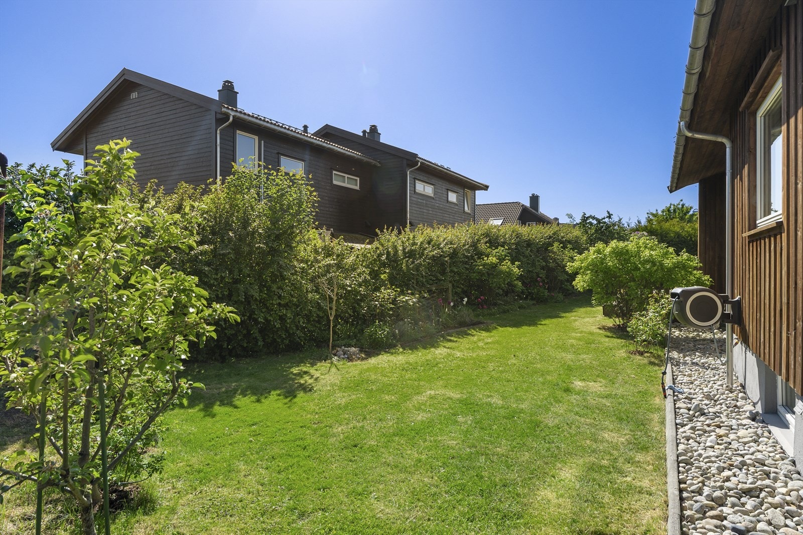 - Hagen er frodig med rikelig med beplantning og grøntareal - Galleribilde