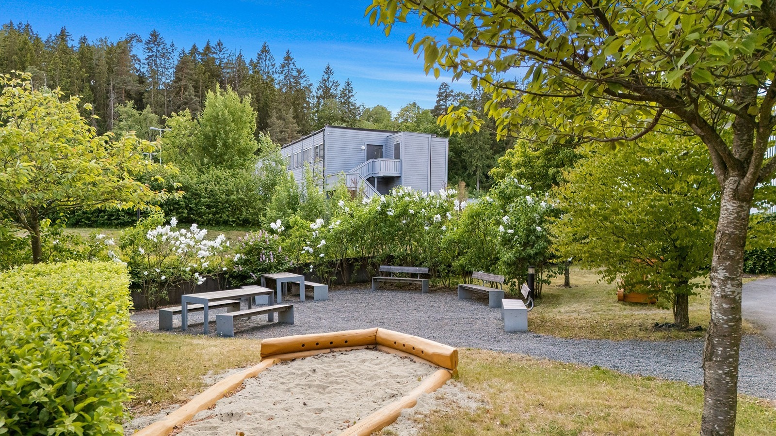 Sameiets fellesområde. Galleribilde