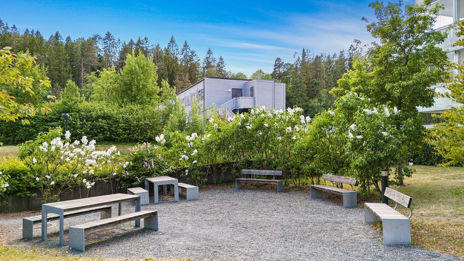 Sameiets fellesområde. Galleribilde