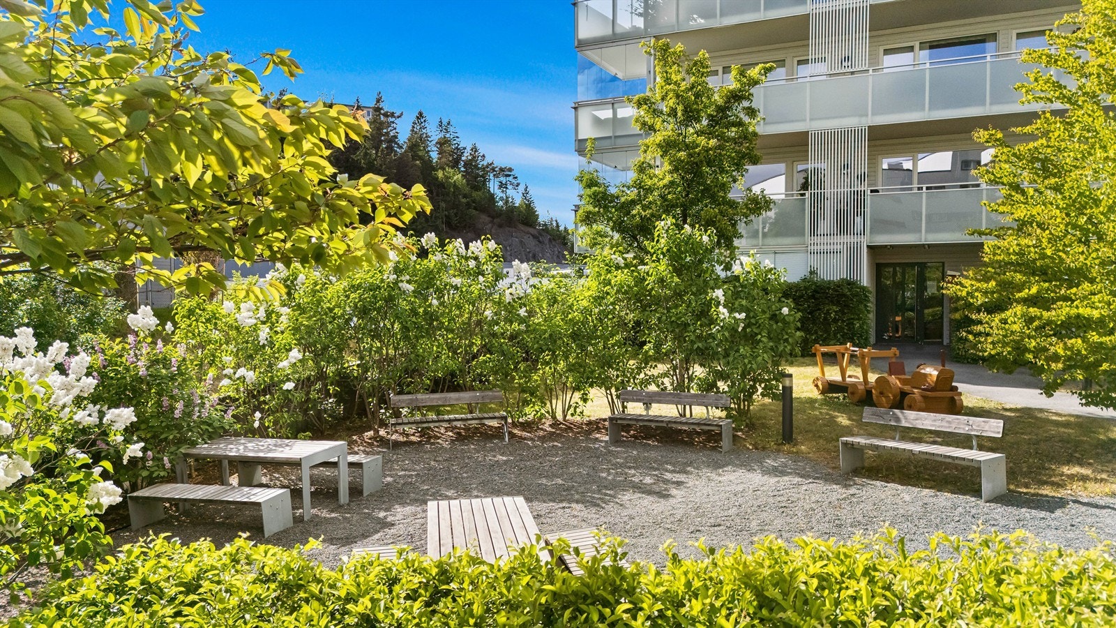 Sameiets fellesområde. Galleribilde