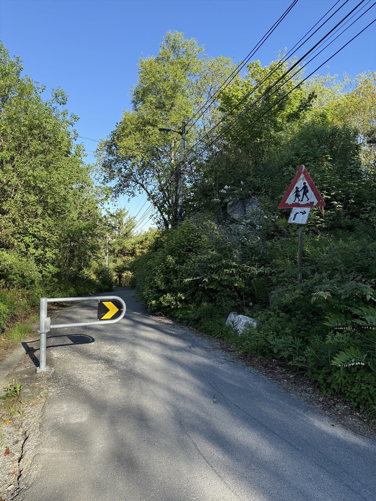 Fra Bjørkåsen er det gangvei til Fana Arena og ned til bybanestoppet i Skjoldskiftet. Galleribilde