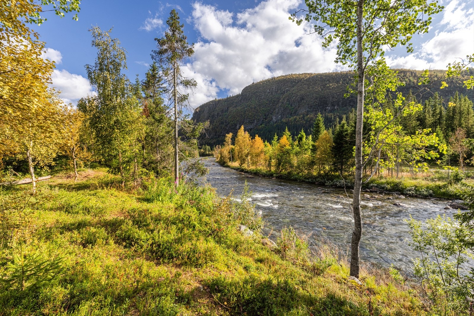 Her kan man nyte et forfriskende bad, eller bare egen tid mens man hører elven sildre forbi! Galleribilde