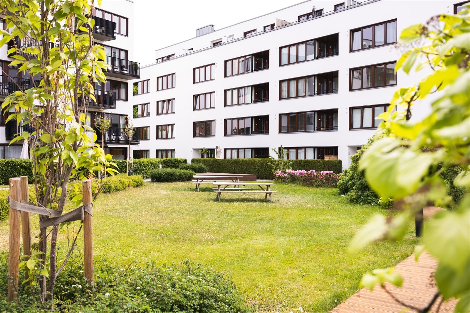 - Fantastisk og stor bakgård med plen og sittegrupper - Galleribilde