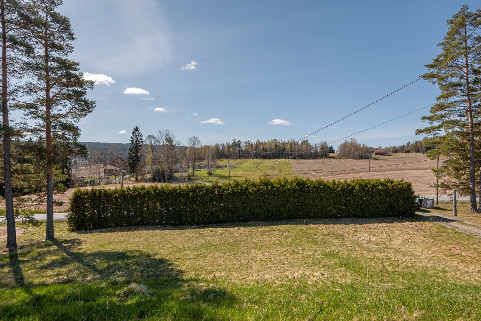 Det er plantet tettvokst hekk mot veien og i hjørnet av tomten sørger høye treklynger for ekstra sjarm. Galleribilde