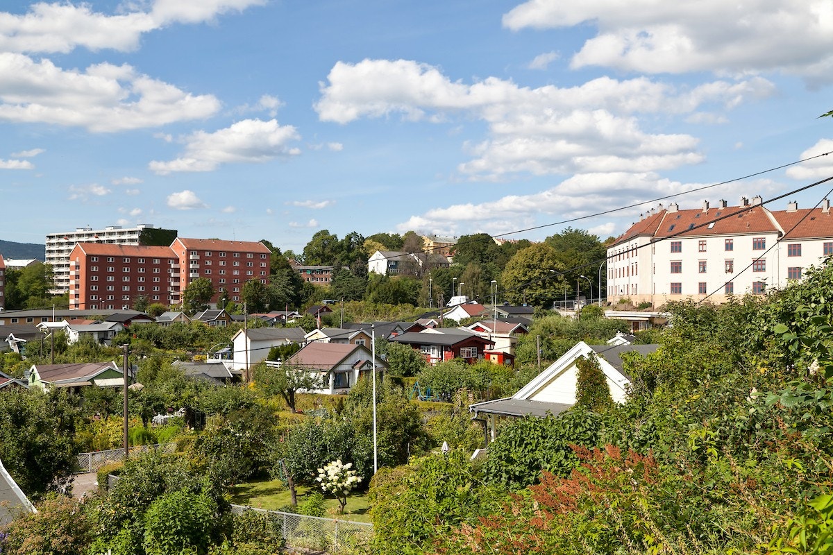 - Rodeløkkens Kolonihager - Galleribilde