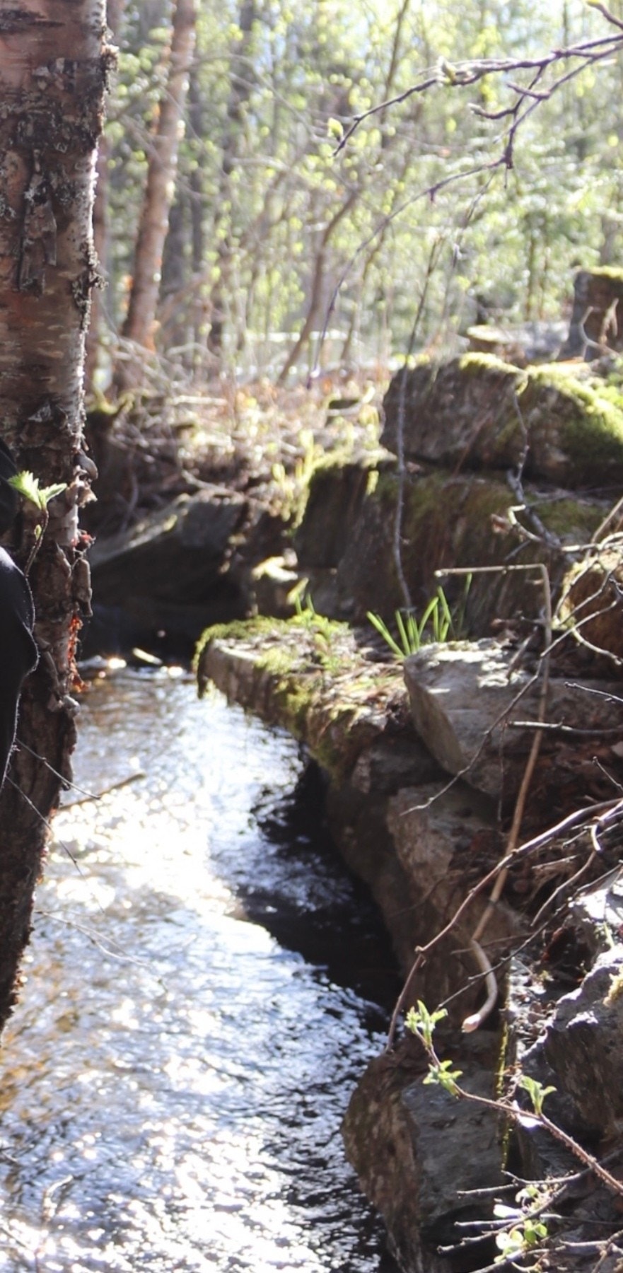 Selgers private bilde. Galleribilde