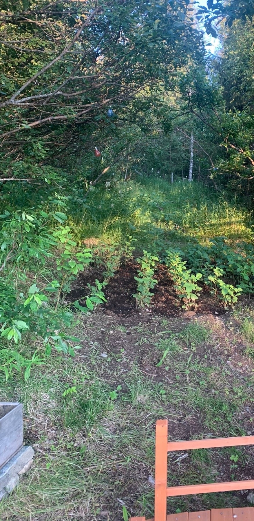 Selgers private bilde. Galleribilde