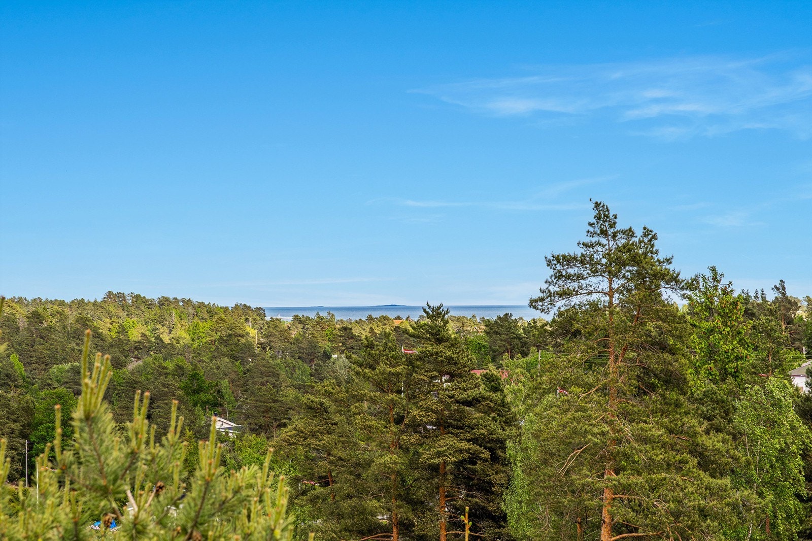 Utsikt mot havet og horisonten. Galleribilde