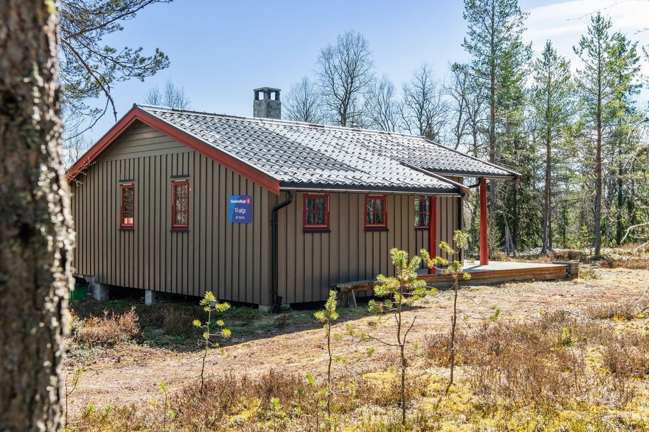 Hovedinngang fra vest Galleribilde