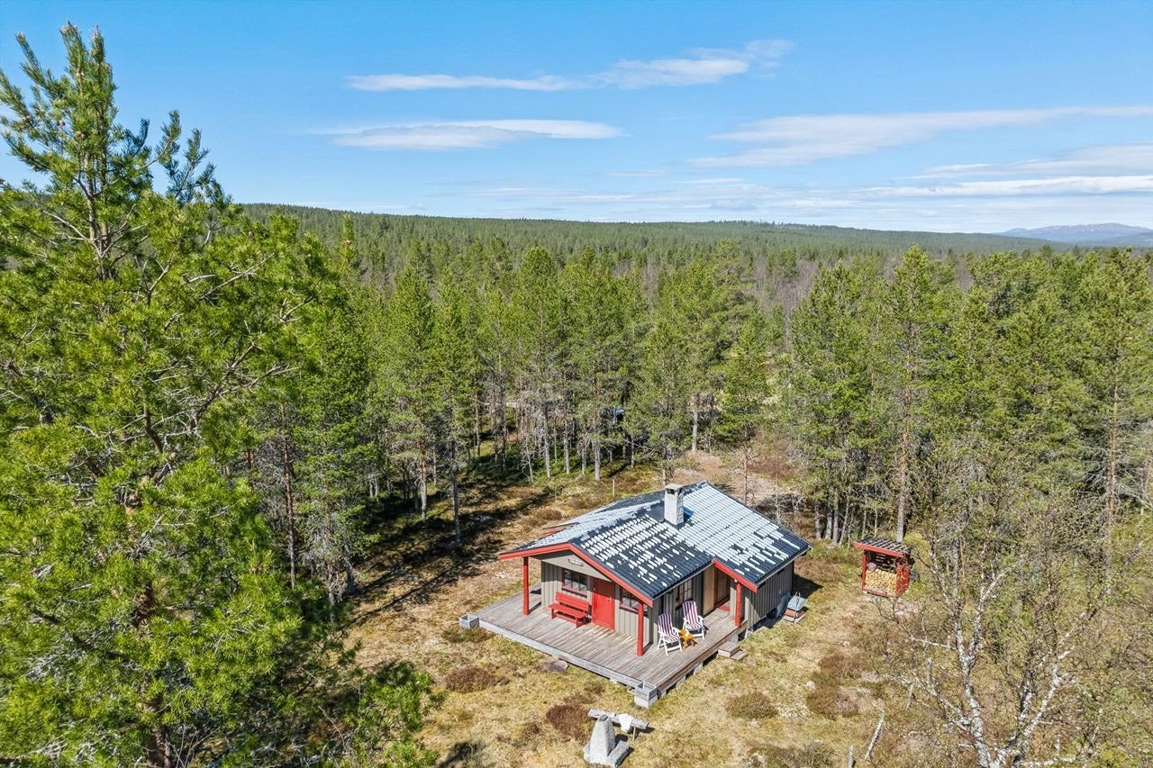 Flott utgangspunkt for både friluftsentusiasten og den som søker ro og stillhet - 15 min. til Playa del Osen - 30 min. Furutangen med bil frisbeegolf, minigolf, hinderløype og ballbinge (alpin og skøytebane) Galleribilde