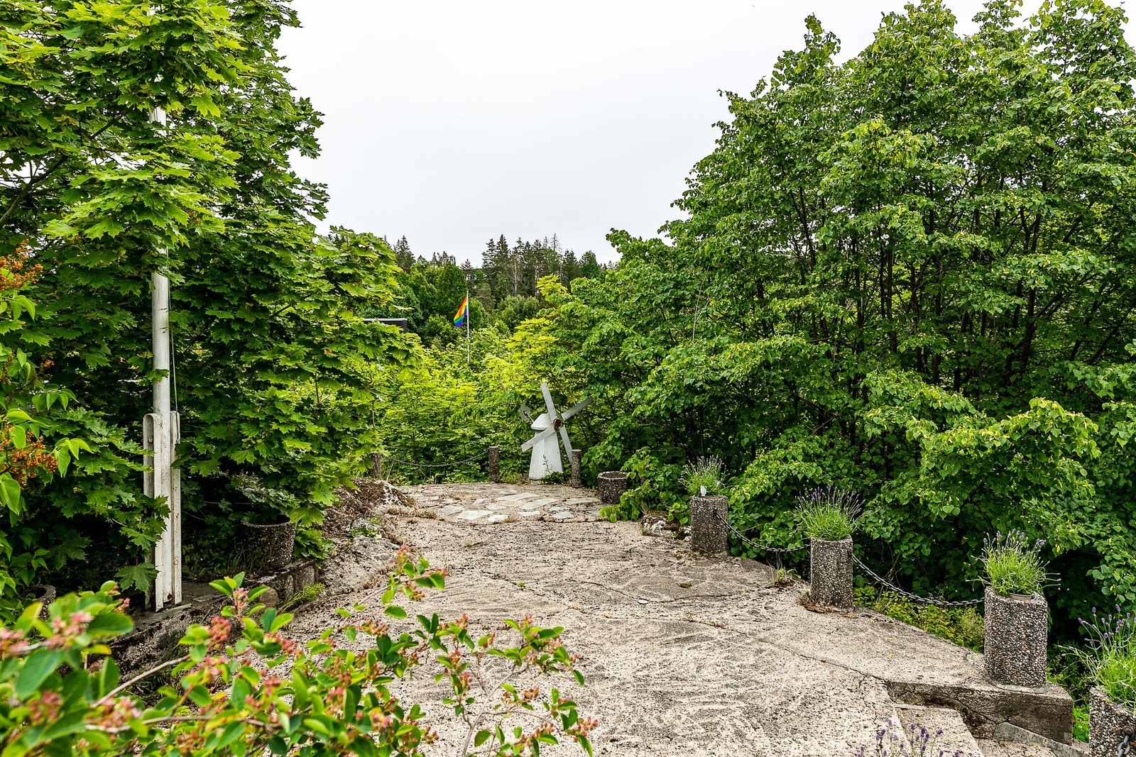 Foto: Børge Oppegård. Galleribilde