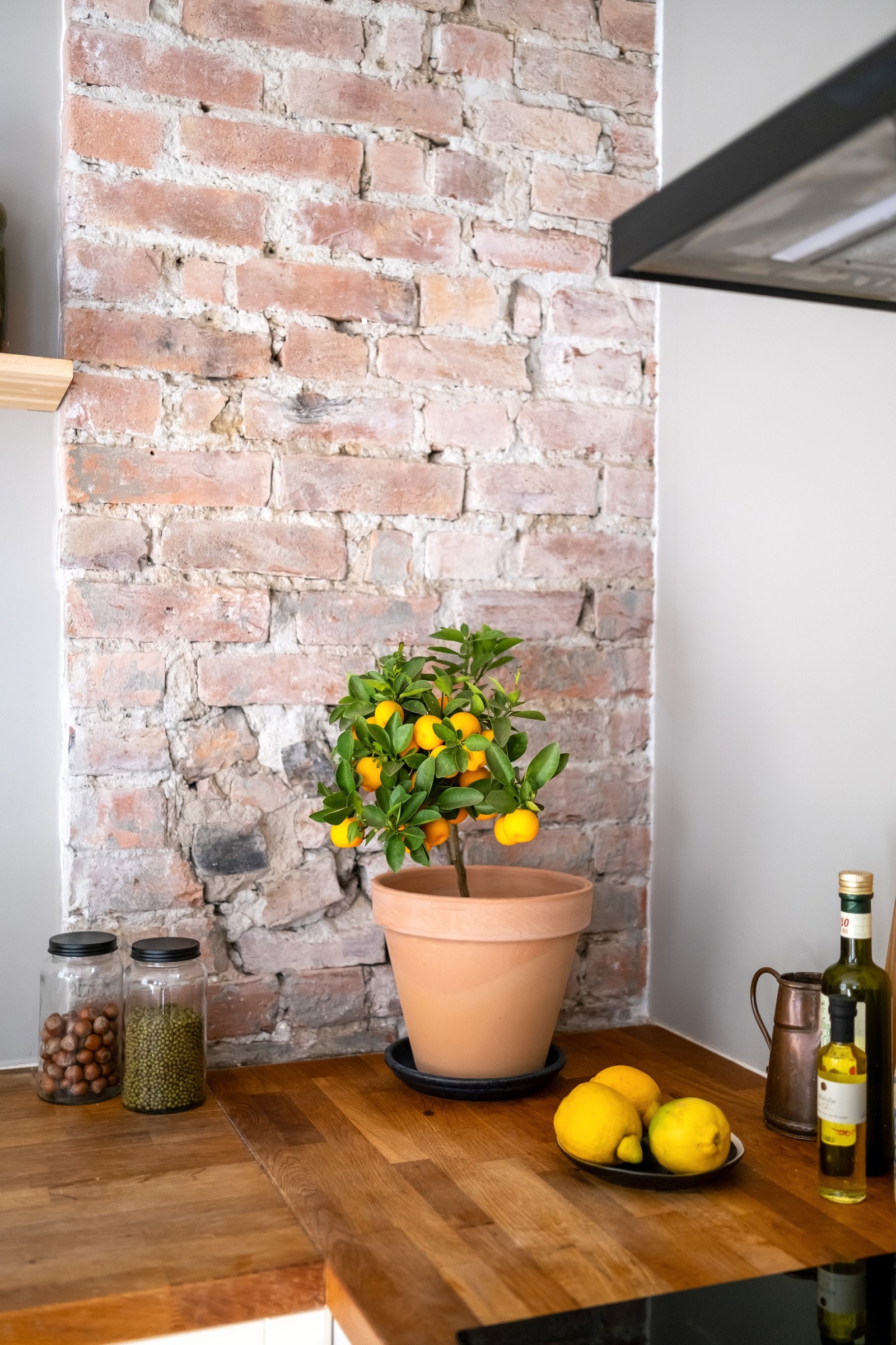 Synlig teglstein skaper en flott linje mellom bygningens historie og dagens krav til standard. Galleribilde