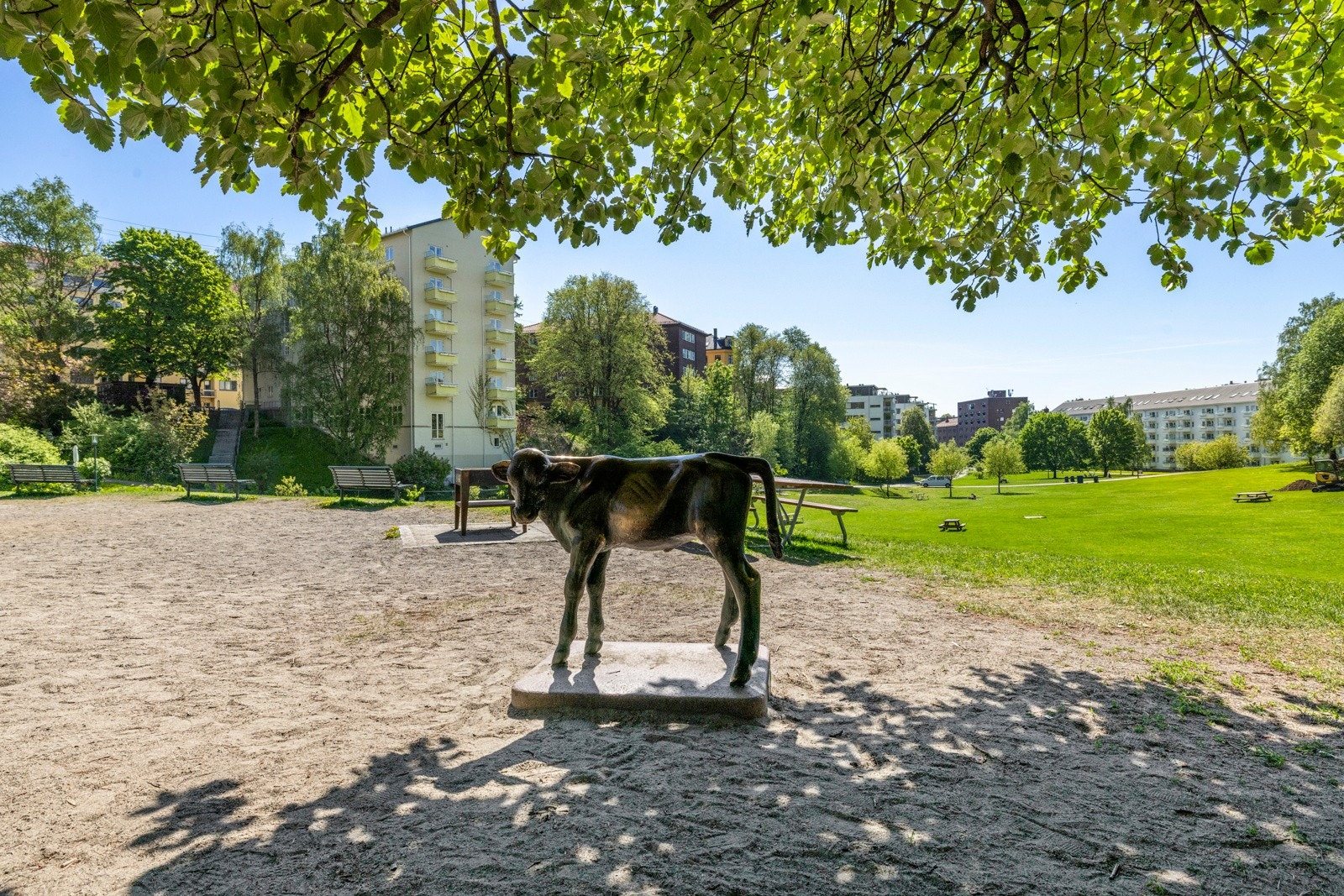 Områdebilde Galleribilde
