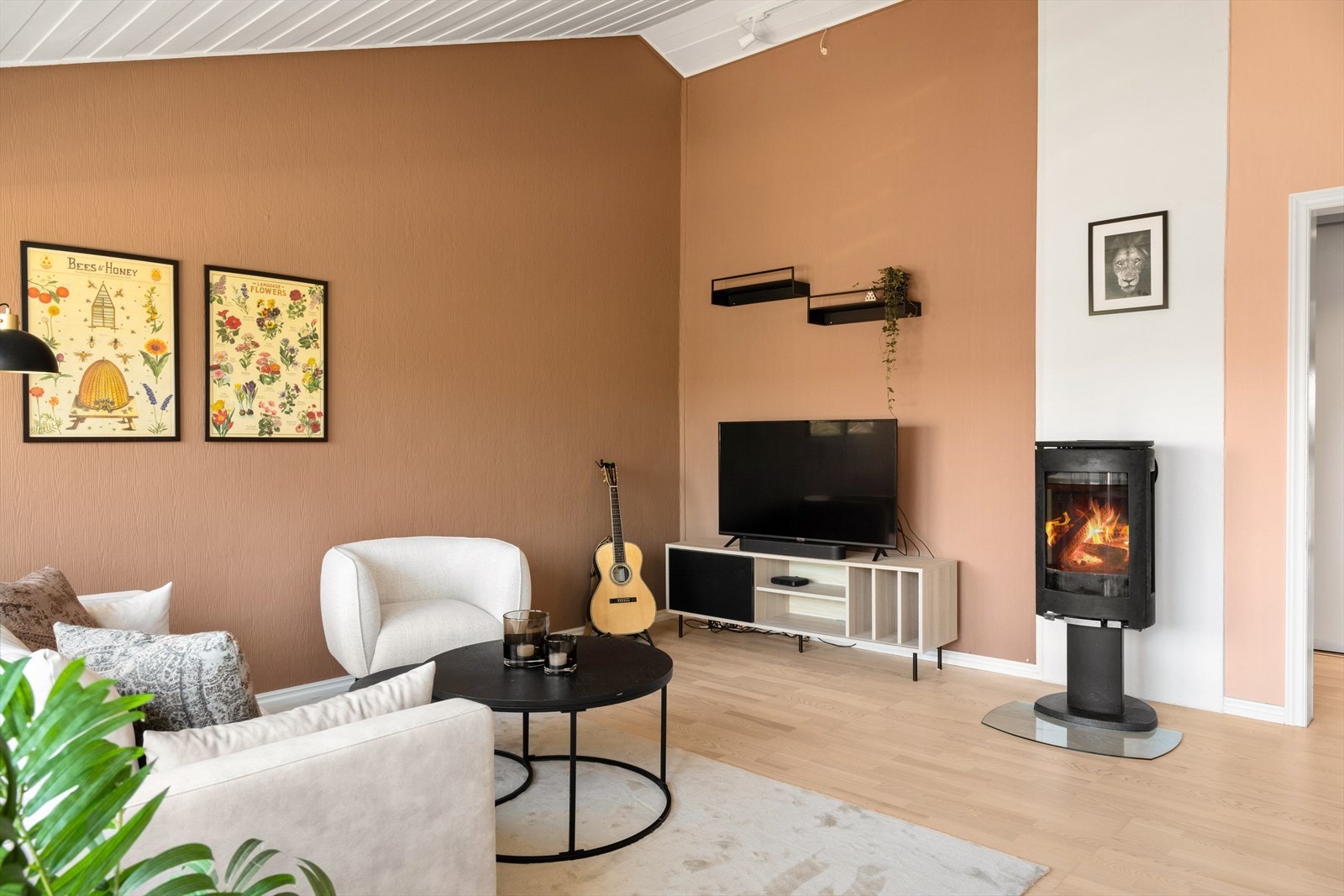 Flott vedovn som fort varmer leiligheten opp og gir lun varme vinterstid Galleribilde