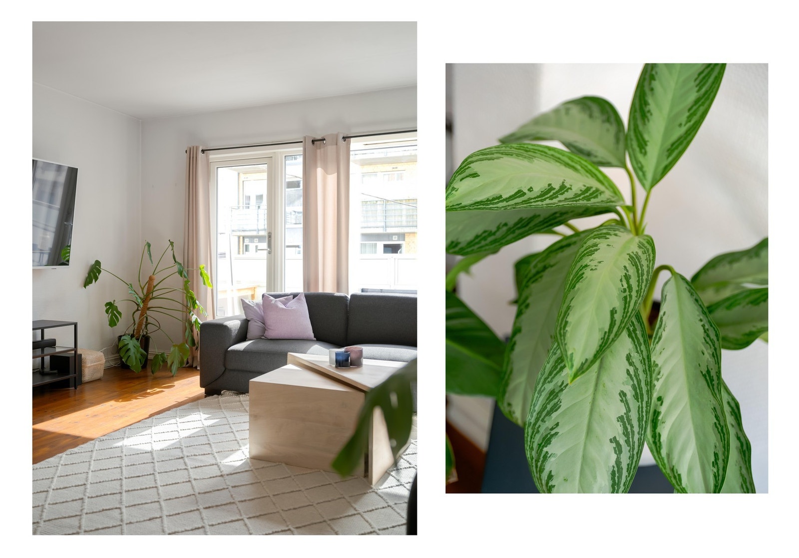 Solen står fint inn gjennom de store stuevinduene, spesielt på formiddagen. Galleribilde