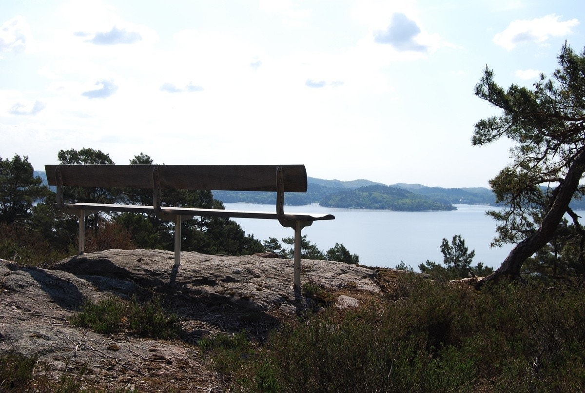 Drømmestien - Nærområde Galleribilde