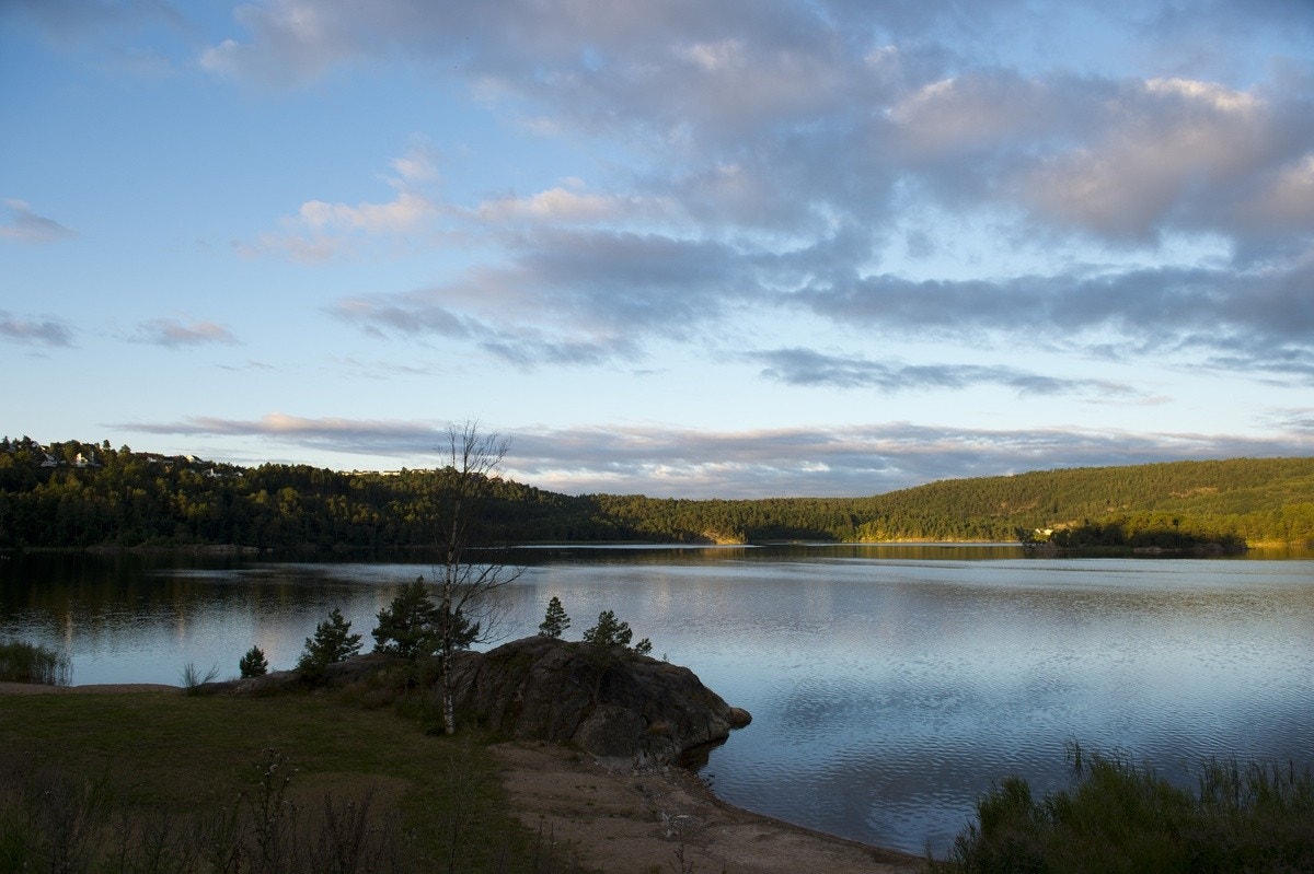 Gillsvann - Nærområde Galleribilde