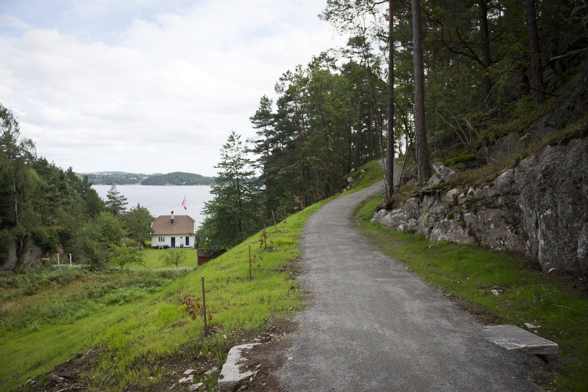 Trollstien - Nærområde Galleribilde