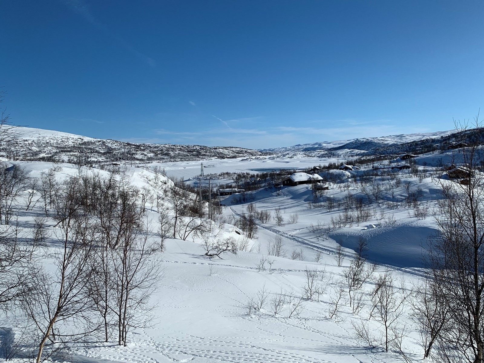 Selgers foto Galleribilde