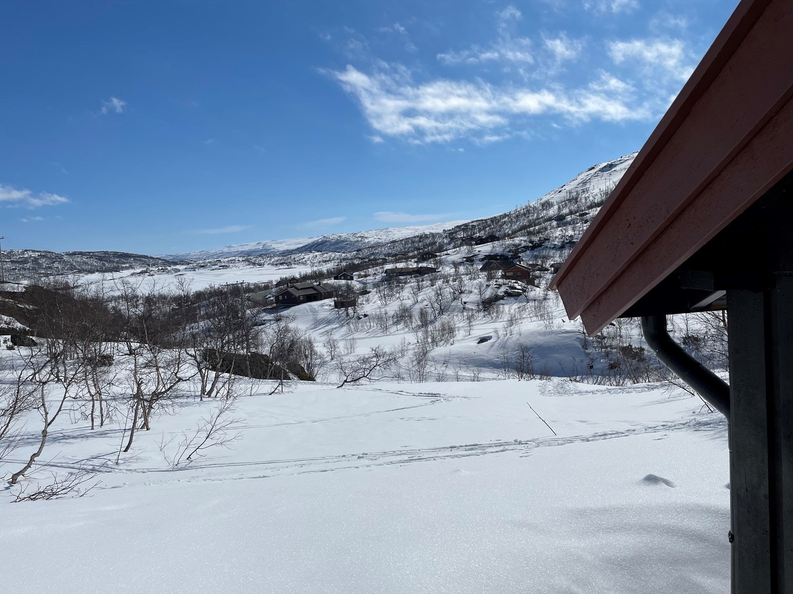 Selgers foto Galleribilde